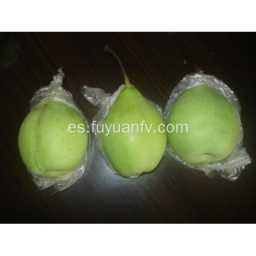 Calidad estándar de exportación de Fresh Ya Pear